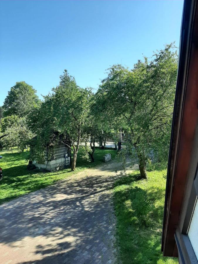 Celinieks * Babīte
